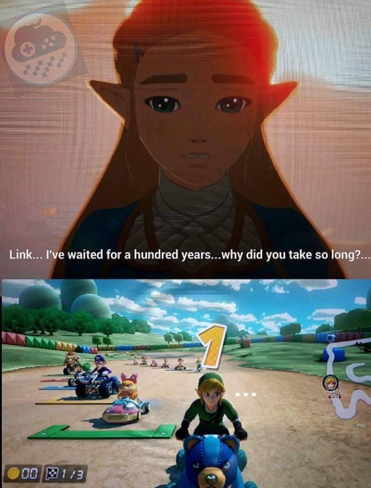 the legend of zelda what took you so long meme