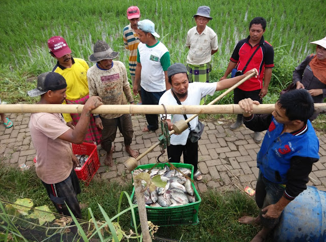 Diskan Kabupaten Probolinggo : Jumlah Permitaan Ikan Meroket Di Bulan Ramadhan
