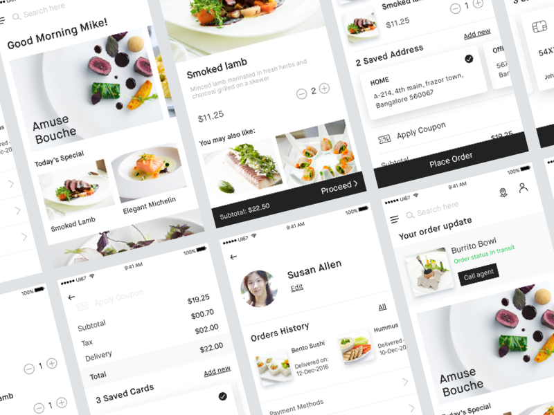 Food Delivery app UI Kit