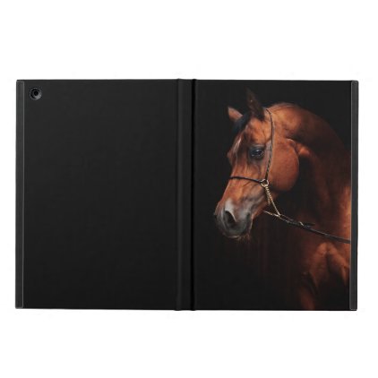horse collection. arabian bay iPad air cover