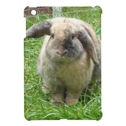 Bumble Rabbit iPad Mini Cases