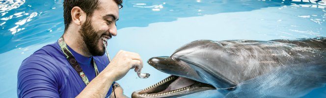 dubai-dolphinarium-trainer-for-a-day