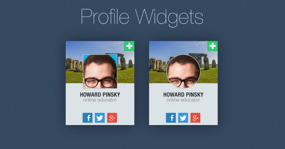 Profile Widget Design
