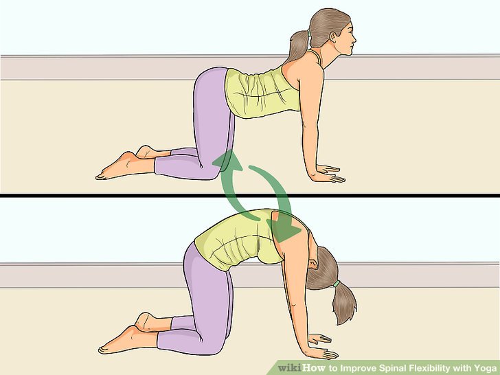 Improve Spinal Flexibility with Yoga Step 1.jpg