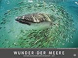Wunder der Meere - Edition Alexander von Humboldt - Kalender 2017 - Heye-Verlag - Fotokalender - Wandkalender 78 cm x 58 cm