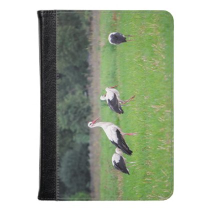 Migrating white storks, ciconia, in a meadow kindle case