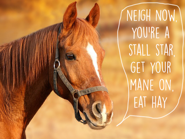 Did you think they said "neigh" like horses?