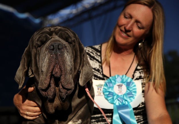 Fourteen of the world's most heinous pups were entered into the competition, but Martha was IN IT to WIN IT.