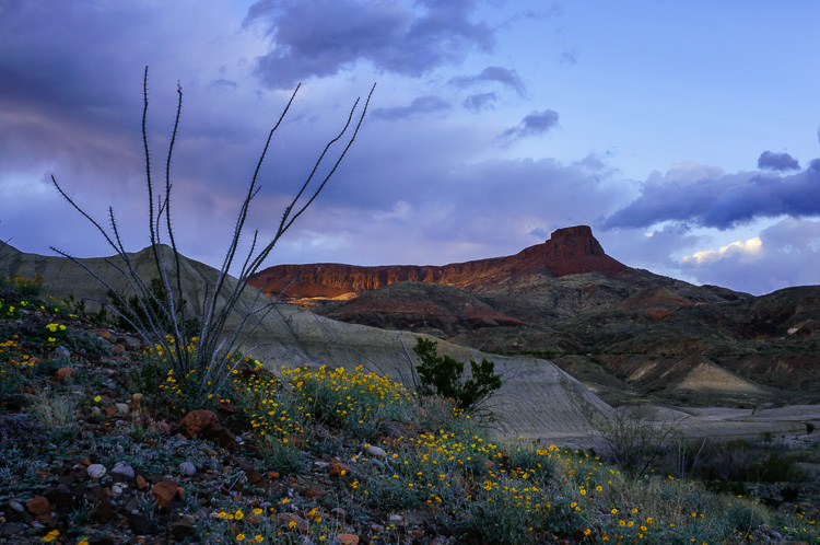 Big Bend Ranch State Park, Texas, by Anne McKinnell - habits better photographer