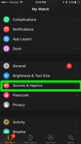Mute Sounds on the Apple Watch Method 2 Step 2.png