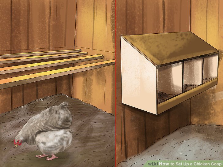 Set Up a Chicken Coop Step 2.jpg