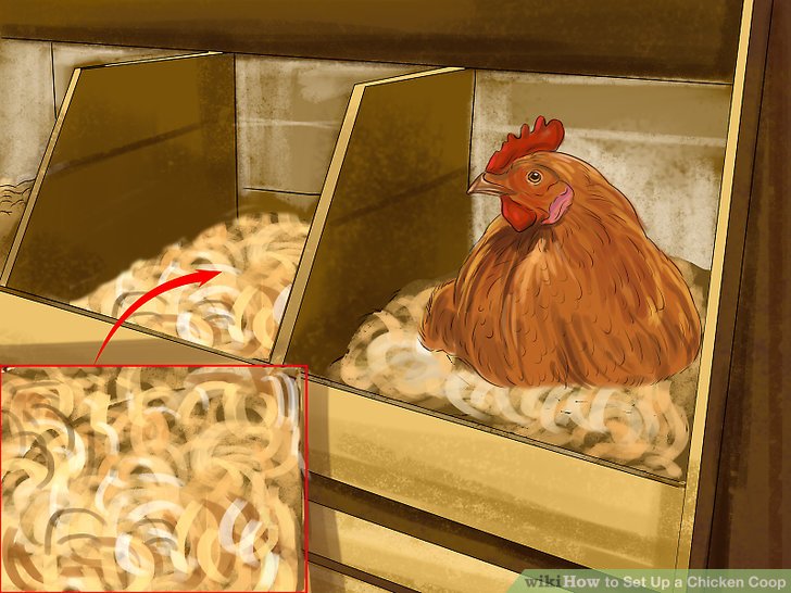 Set Up a Chicken Coop Step 3.jpg