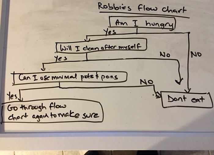 My Wife Made Me A Passive Aggressive Flow Chart To Use Every Time I Get Hungry