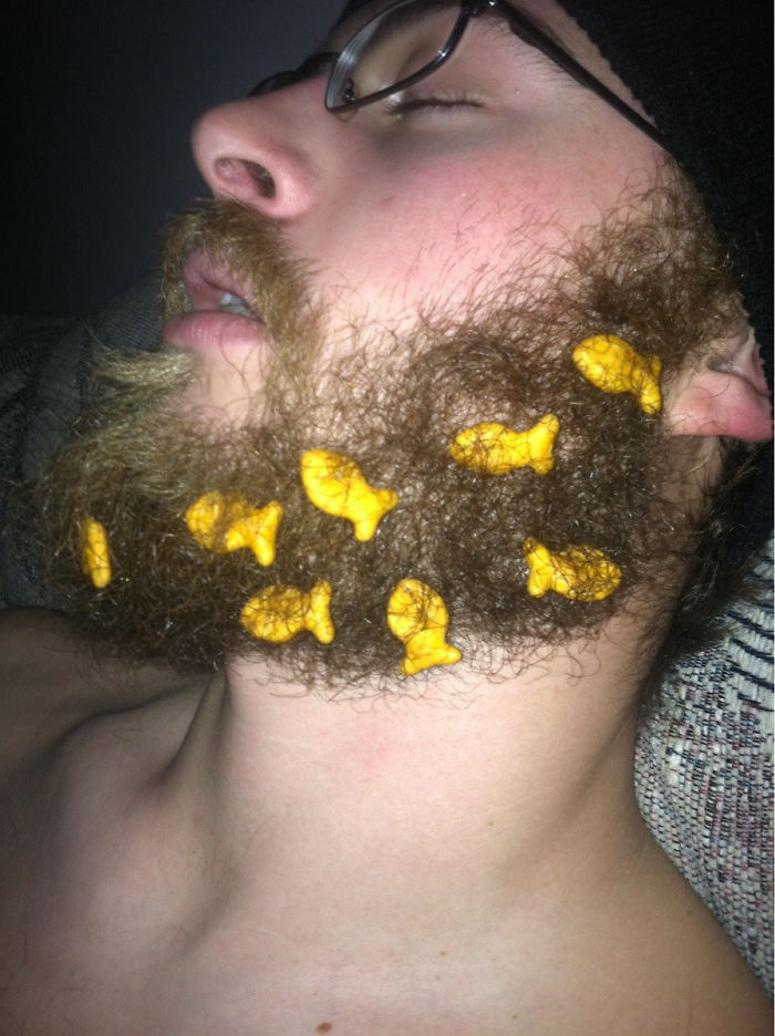 My Husband Fell Asleep On The Couch. I Gave Him A Goldfish Beard
