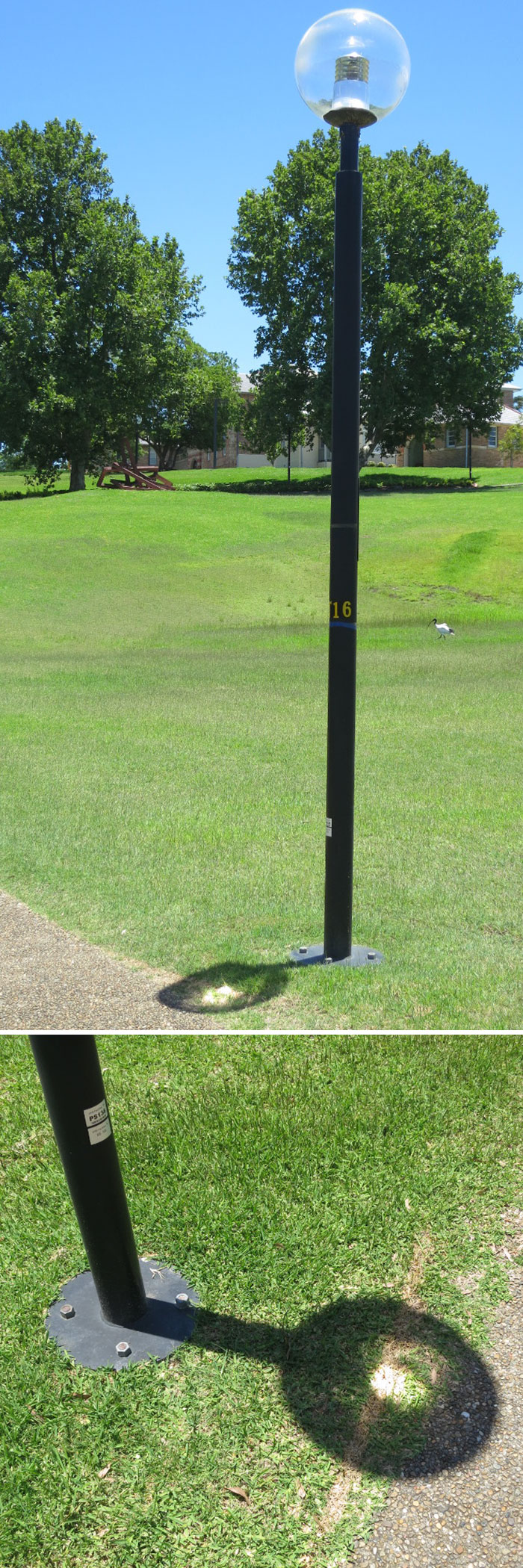 This Lamppost Focuses The Sun And Scorchers A Line In The Grass
