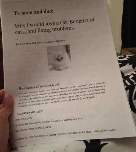 Recently, Romesa decided to take her pleas up a notch. She wrote her parents a six(!) page report on why they needed to get a cat. She wrote the whole essay in an hour.