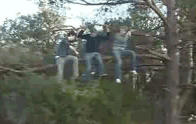 guy saws a limb that they are sitting on and they fall out of the tree