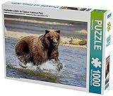 Küstenbraunbär im Katmai National Park 1000 Teile Puzzle quer: Alaska - faszinierend anders (CALVENDO Orte)