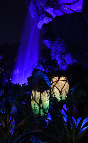 Best Tips, Tricks and Locations to Capture Stunning Photos of Pandora - The World of Avatar at Disney's Animal Kingdom