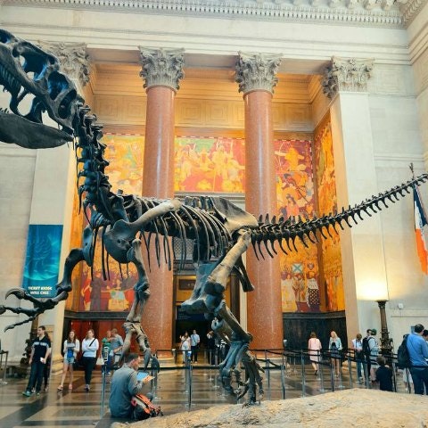 Planning a trip to NYC - American Museum of Natural History