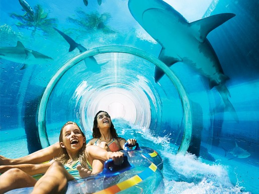 Aquaventure waterpark tickets shark attack