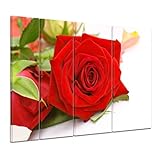 Bilderdepot24 Keilrahmenbild "Rose" - 180x120 cm 4 teilig - fertig gerahmt, direkt vom Hersteller