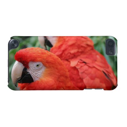 Scarlet Macaw iPod Touch 5G Cover