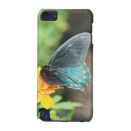 Blue Butterfly Yellow Coreopsis Summer Products iPod Touch 5G Case