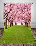 NIVIUS PHOTO® 150*220CM Landschaftsfotografie Kulisse für kinder dünne folien sakura Fotografie Hintergrund für studio d-9377