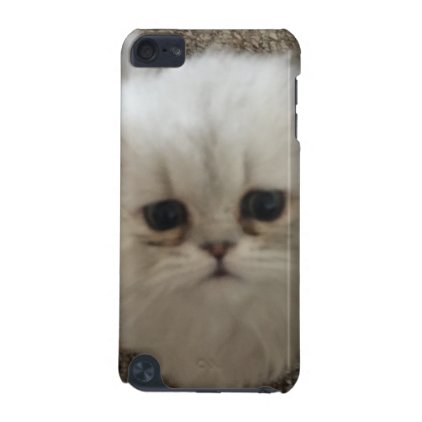 Sad eyes white fluffy kitten looking up iPod touch (5th generation) case