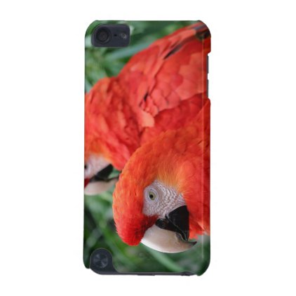 Scarlet Macaw iPod Touch 5G Case