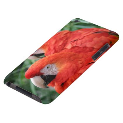 Scarlet Macaw iPod Touch Cover