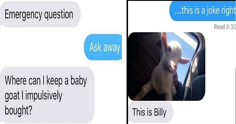Collection of funny texting conversations that made us laugh.