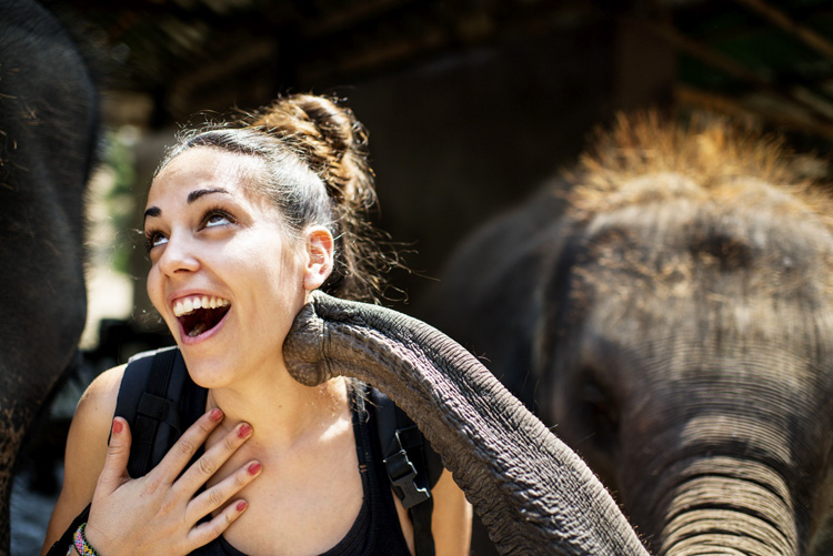 Three Good Reasons To Learn More About Photography - girl with elephant