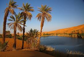 Image result for padang pasir