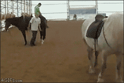 kid gets kicked by a horse when he tries to jump on from the back