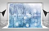 2.1x1.5m weiß Calm River von Schnee Landschaft Fotografie Hintergrund blau Winter Foto Hintergrund