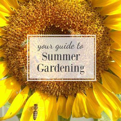 Jamis garden tips