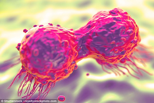 Nghiên cứu mới khẳng định vitamin C kết hợp kháng sinh có thể tiêu diệt tế bào gốc ung thư - Ảnh 2.