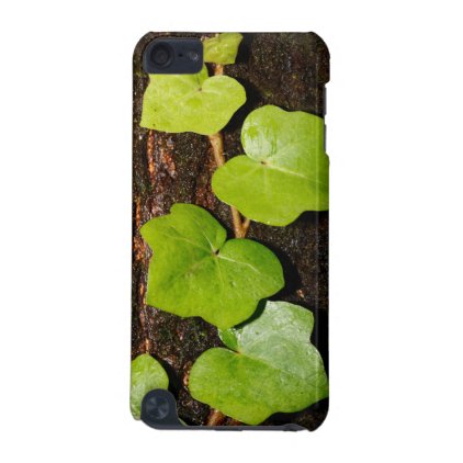 Azores endemic hedera iPod touch 5G case