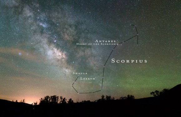 Constellation Scorpius by Daniel McVey.