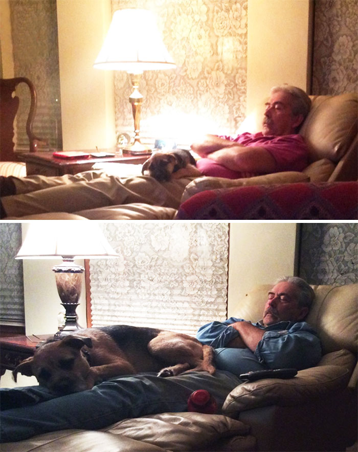 My Dad And My Dog They Have Done This Every Night Since We Have Gotten Her When She Was 10 Weeks Old