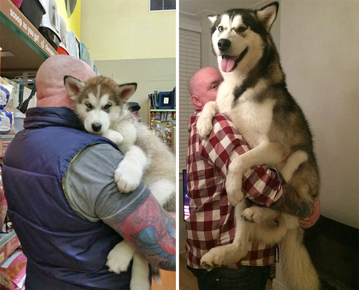 A Year On He Still Just Wants To Be Carried Sometimes