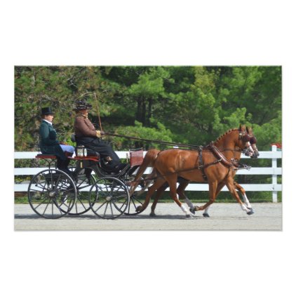 walnut hill carriage driving horse show photo print