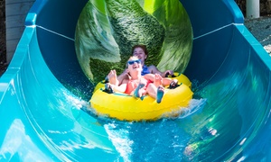 Up to 30% Off Admission to Wet 'n' Wild Toronto