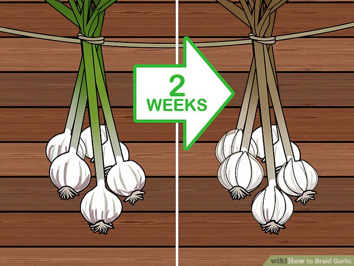 Braid Garlic Step 11 Version 2.jpg