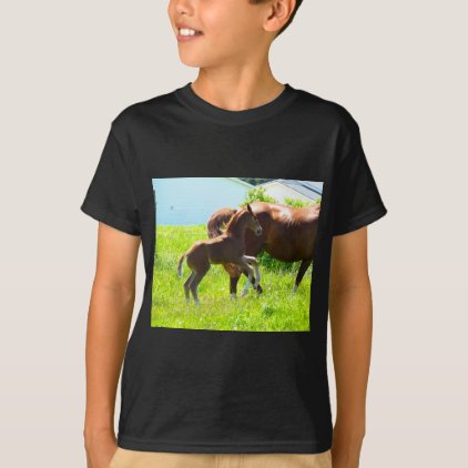 Horse Pony Baby Foal Cute T-Shirt