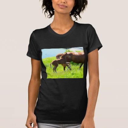 Horse Pony Baby Foal Cute T-Shirt