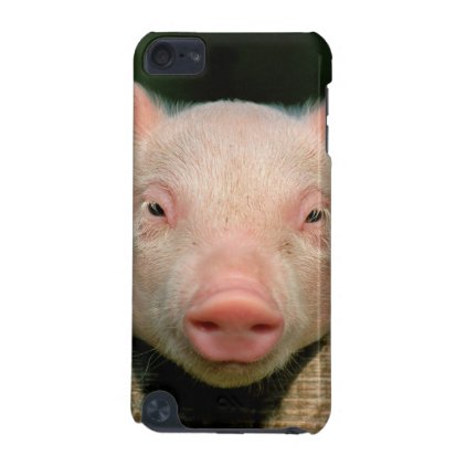 Pig farm - pig face iPod touch (5th generation) case