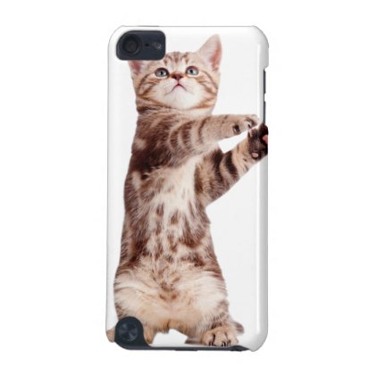 Standing cat - kitty - pet - feline - pet cat iPod touch (5th generation) cover